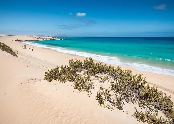 Home2book Private Pool & Terrace, Aloha Sun Villa *